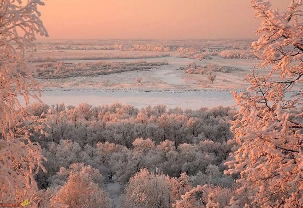 Снежное утро фото. Снежное утро. Морозное розовое утро. Розовое зимнее утро. Зимняя морозная Заря.