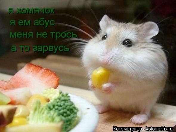 Icq Вы Не Можете Восстановить Пароль Icq Вы Не Можете Восстановить Пароль