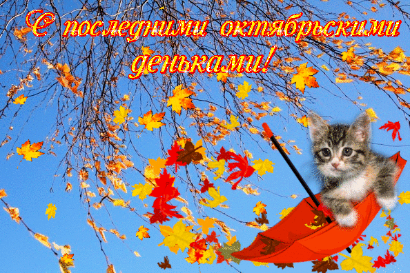 Гифки хорошего дня октября. Последние денечки осени. Хорошего дня осень. Открытки хорошего дня осенние. С последней неделей октября