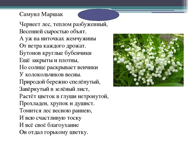 Слова душистый план