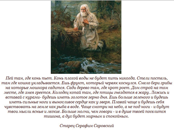 Там пей. Серафим Саровский пей там где конь. Пей воду где конь пьёт. Серафим Саровский пей воду там где конь пьет. Пейте там где конь пьет.