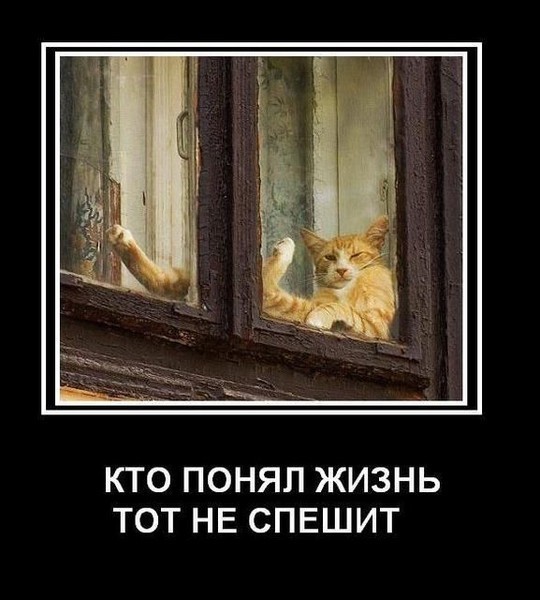 картинки кто понял жизнь тот не спешит работать препятствовала оргиям своих