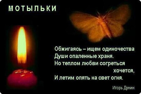 МОТЫЛЕК КУДА ЖЕ ТЫ ЛЕТИШЬ СКАЧАТЬ БЕСПЛАТНО МОТЫЛЕК КУДА ЖЕ ТЫ ЛЕТИШЬ СКАЧАТЬ БЕСПЛАТНО