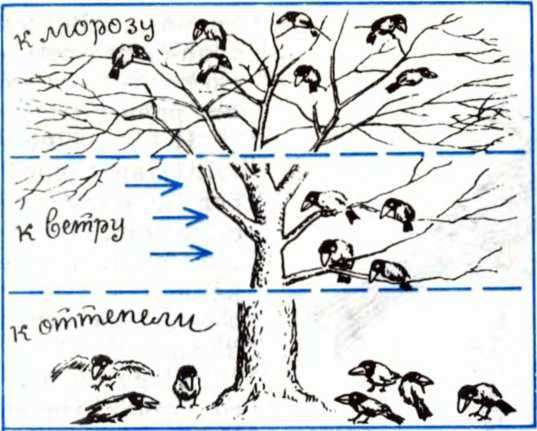 Рисунки приметы погоды