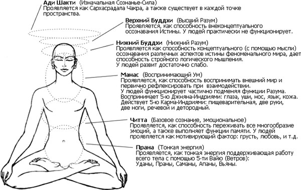 линга шарира что это. Смотреть фото линга шарира что это. Смотреть картинку линга шарира что это. Картинка про линга шарира что это. Фото линга шарира что это