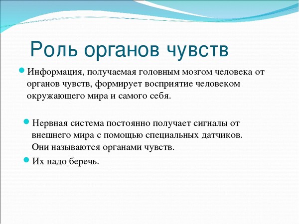 Позволяют ли данные органов чувств составить истинную картину мира философия