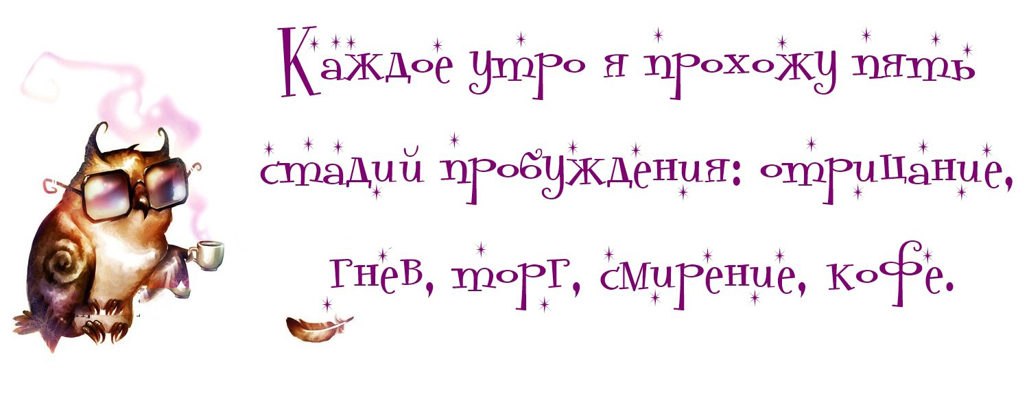 bisocnet красивые цитаты