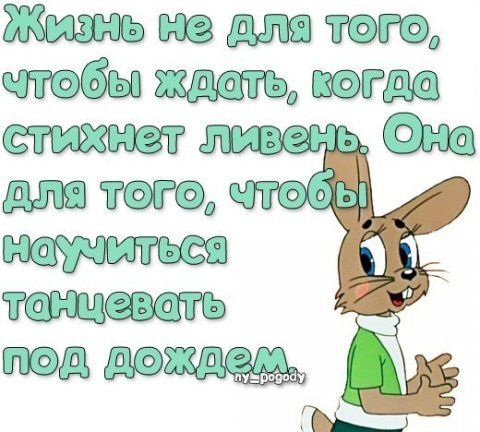 Фото анекдоты ну погоди