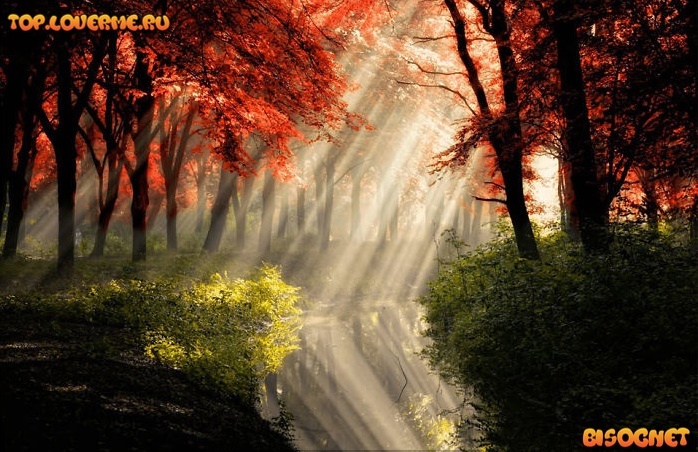Красивые фотки природы