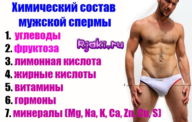 Химический состав мужской спермы был подробно изучен в прошлом веке. Химический состав мужской спермы был подробно изучен в прошлом веке.