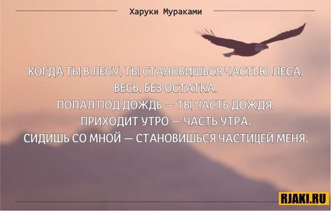Харуки Мураками цитаты в картинках Харуки Мураками цитаты в картинках