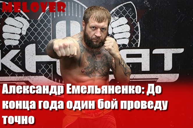 Александр Емельяненко: До конца года один бой проведу точно Александр Емельяненко: До конца года один бой проведу точно