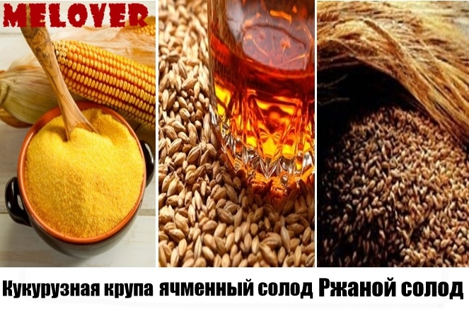 Из чего сделать, как настаивать, и чем закусить? Виски Из чего сделать, как настаивать, и чем закусить? Виски