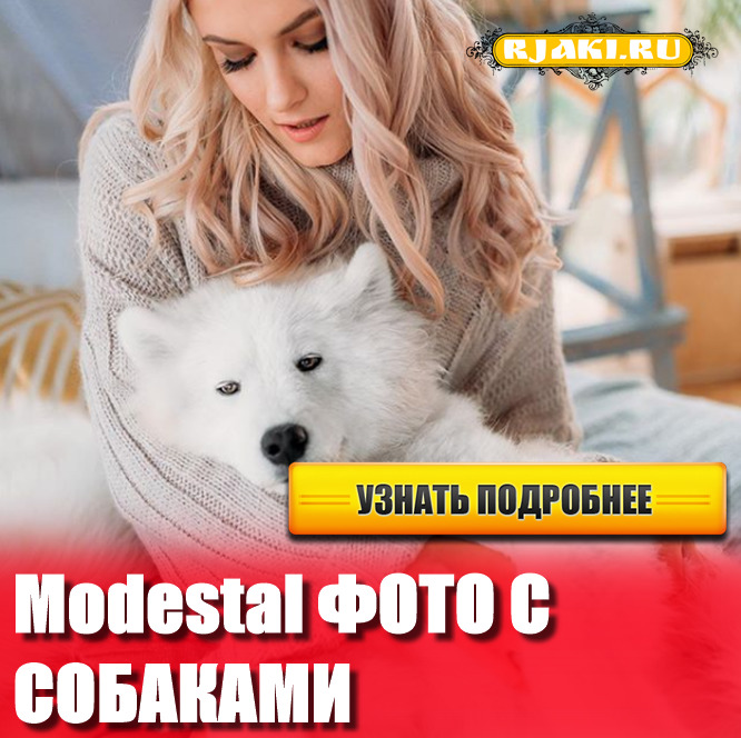 Modestal слив фото twitch Modestal слив фото twitch