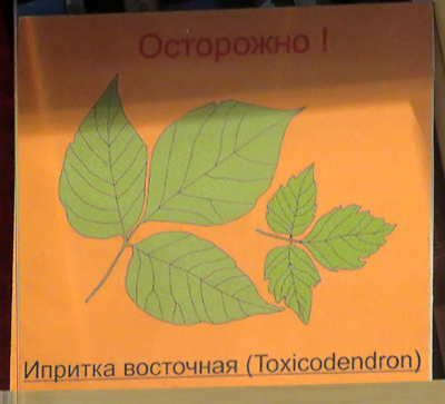 Южные Курилы. На последнем русском берегу. Курилы, здесь, островов, острова, Курилах, японцы, Хоккайдо, Курил, Японии, Итурупе, всего, Кунашир, Хабомаи, кажется, можно, Итуруп, Шикотан, Шикотане, самый, Япония