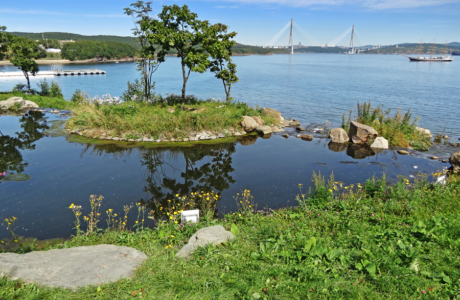 Island сайт. О русский Владивосток. Город Владивосток остров русский. Остров русский ( Владивосток )часть 1. Остров русский кампус.