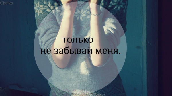 Кошек рабочий, картинка с надписью я забуду
