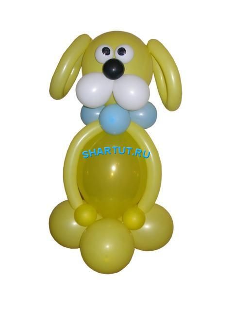 Собака из воздушного шарика. Собака из шаров. Фигуры из шаров собачка. Фигурки из шариков собака. Собачка из воздушных шариков.