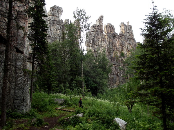 i-509.jpg