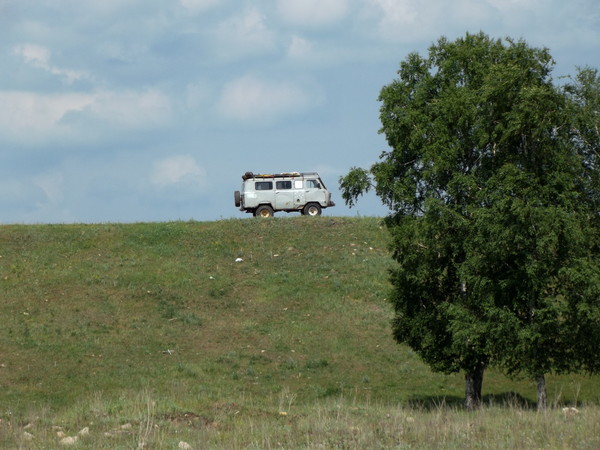i-517.jpg