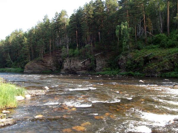 i-539.jpg