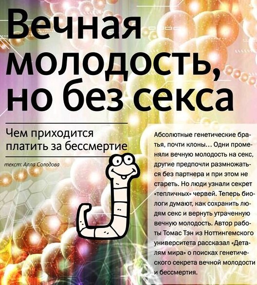 Он может дать бессмертие и вечную молодость. Подарочный сертификат эликсир молодости и бессмертия. Вечная молодость бессмертие. Сертификат на эликсир молодости и бессмертия шаблон. Трава вечной молодости.