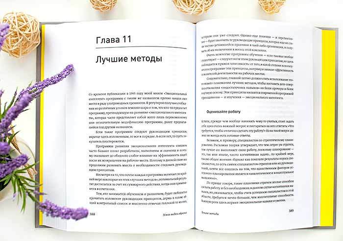 книга Эмоциональный интеллект в работе Дэниел Гоулман отзыв