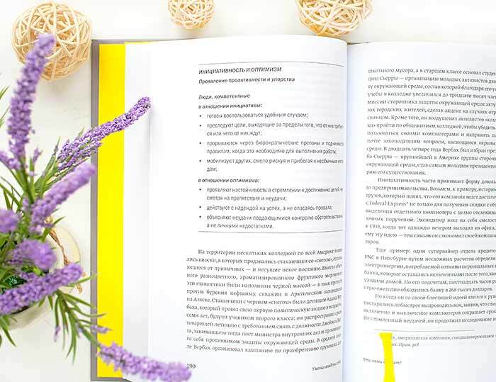 книга Эмоциональный интеллект в работе Дэниел Гоулман отзыв