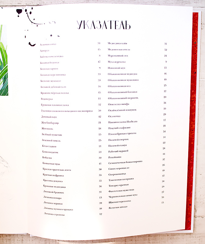 Лагом музей насекомых и цветочные рецепты подборка красивых книг отзыв