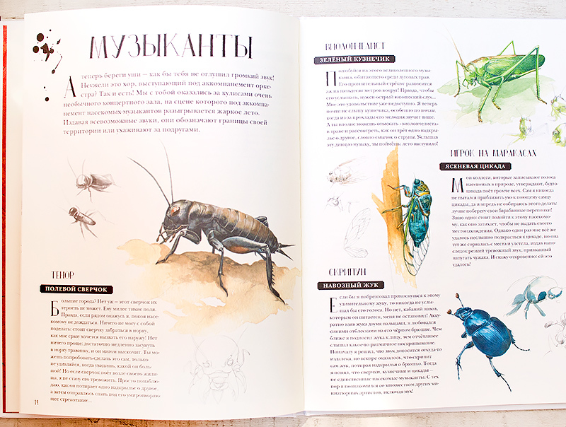 Лагом музей насекомых и цветочные рецепты подборка красивых книг отзыв