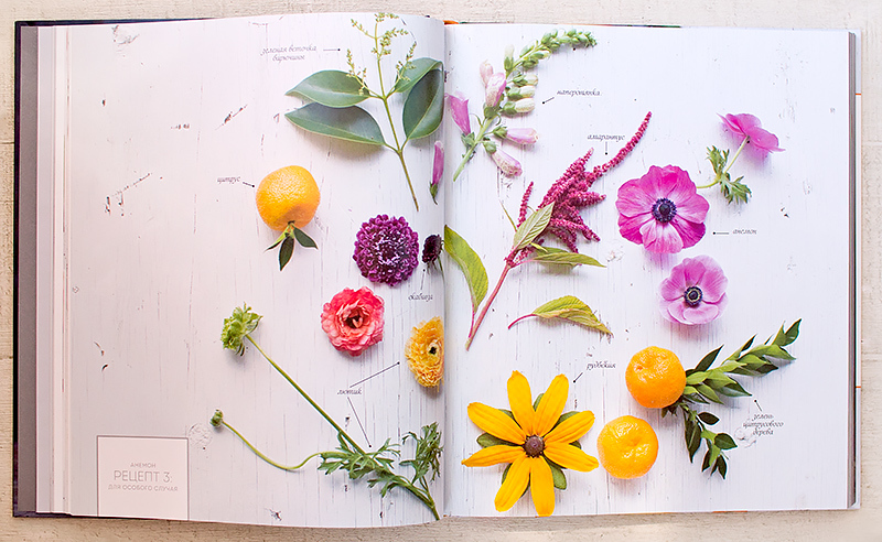Лагом музей насекомых и цветочные рецепты подборка красивых книг отзыв