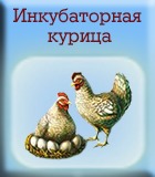 Кормушка с кормом для птиц клондайк