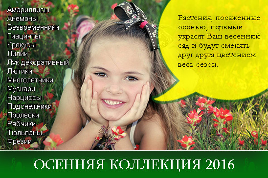 Праздники в начальной школе на год