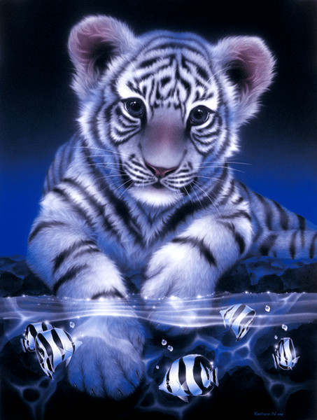  Белый юный тигр.