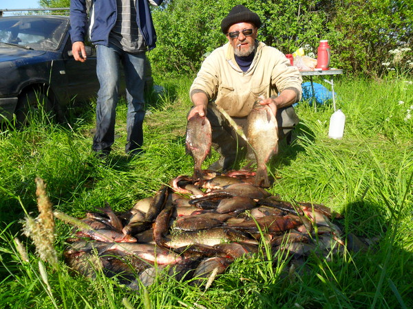 В ШХЕРАХ ЛАДОГИ