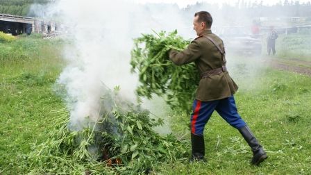 ПОСАДИ НАРКОТОРГОВЦА. Казачьи, православные дружины
