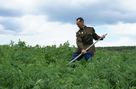 ПОСАДИ НАРКОТОРГОВЦА. Казачьи, православные дружины