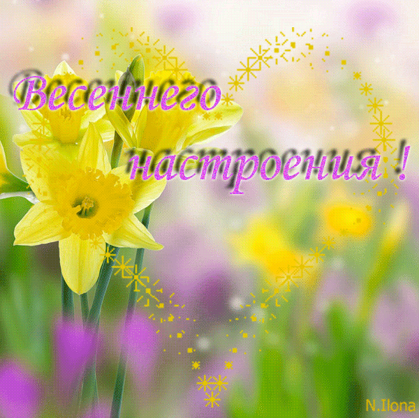 Хорошего дня и отличного настроения картинки мартовские. Открытки весеннего настроения. Яркого весеннего дня. Прекрасного весеннего дня