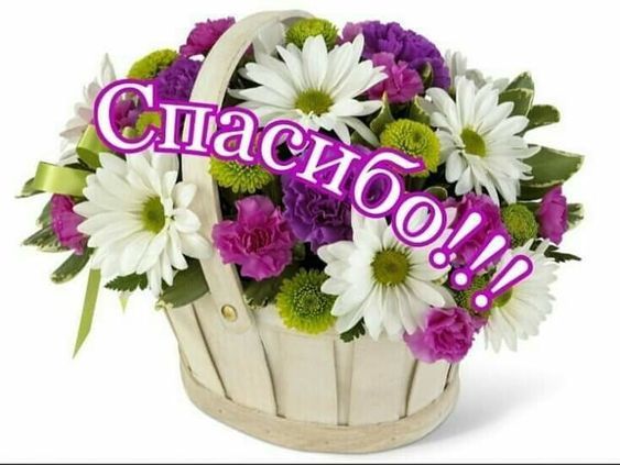 Спасибо За Заботу Картинки
