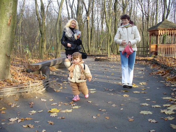 Осень