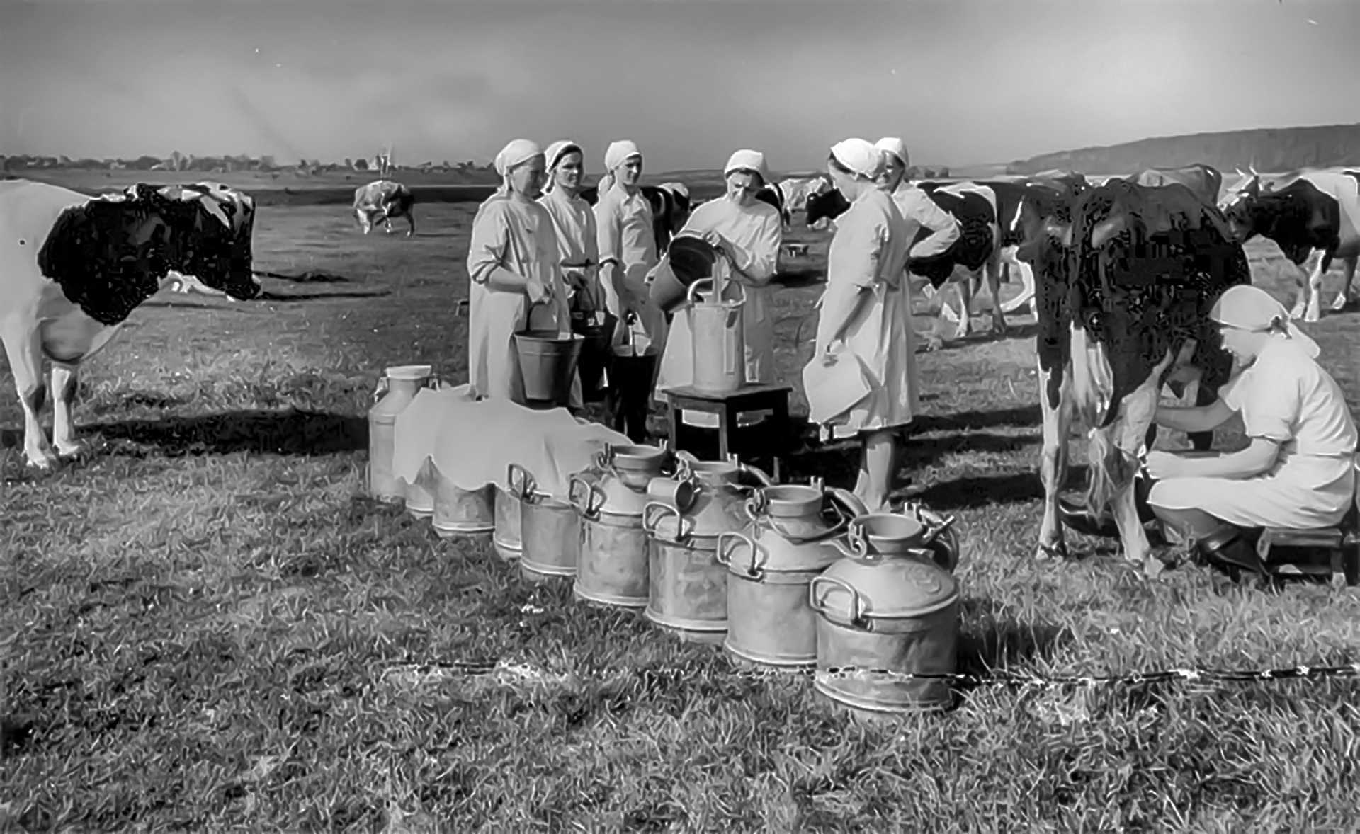 Колхозы в ссср. Аграрный колхоз «красный Урал», в 1966 г. Колхоз красный Пахарь 1936 года Смоленская область. Сельское хозяйство Саратовской области 20 век. Сельское хозяйство в 70е годы в СССР.