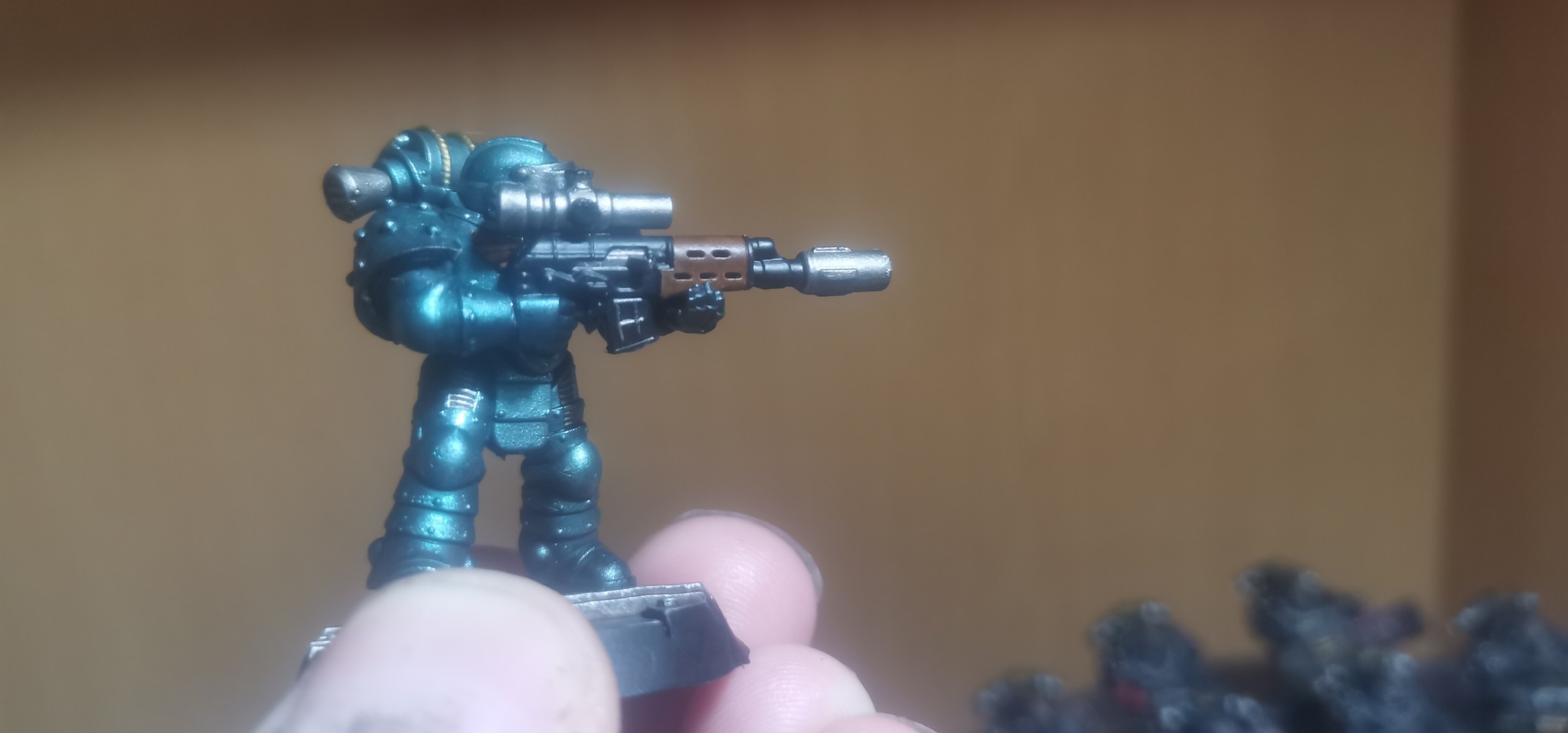 h-731.jpg