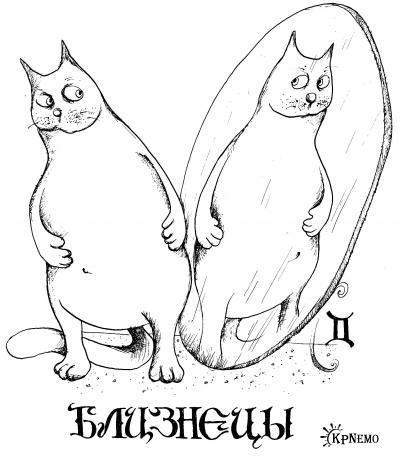 близнецы