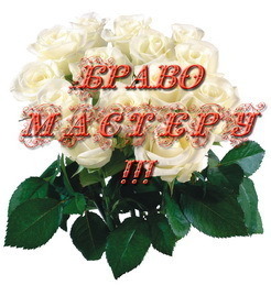Браво мастеру картинки красивые