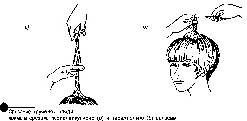 Постричь или подстричь как правильно. Метод жгута филировка. Филировка волос методом жгута схема. Прикорневая филировка схема. Техника филировки волос жгуты.