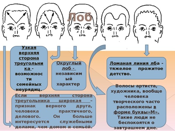 Залом между бровями физиогномика