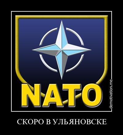 Купить у, а или телку