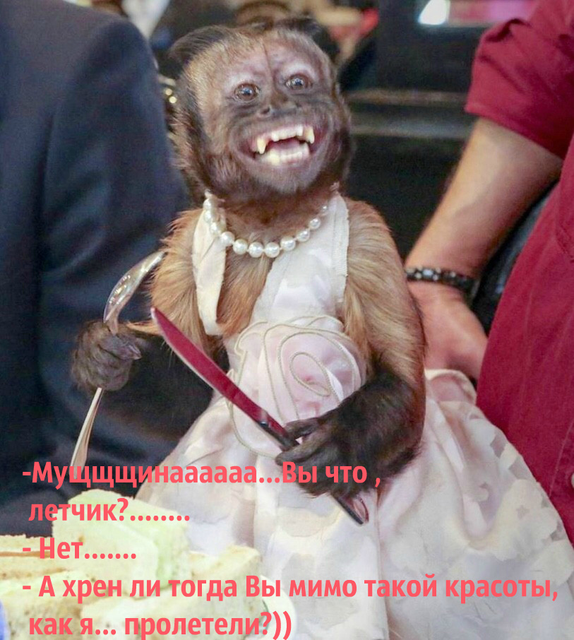 h-96.jpg