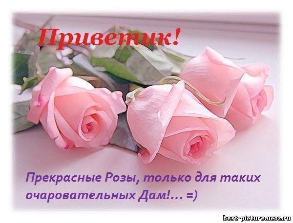 Без названия