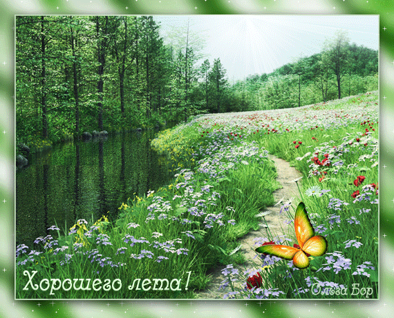 Доброго дня лес. Добрые пожелания природа. Доброго летнего дня. Хорошего летнего дня природа. Открытки с добрым утром красивые с природой